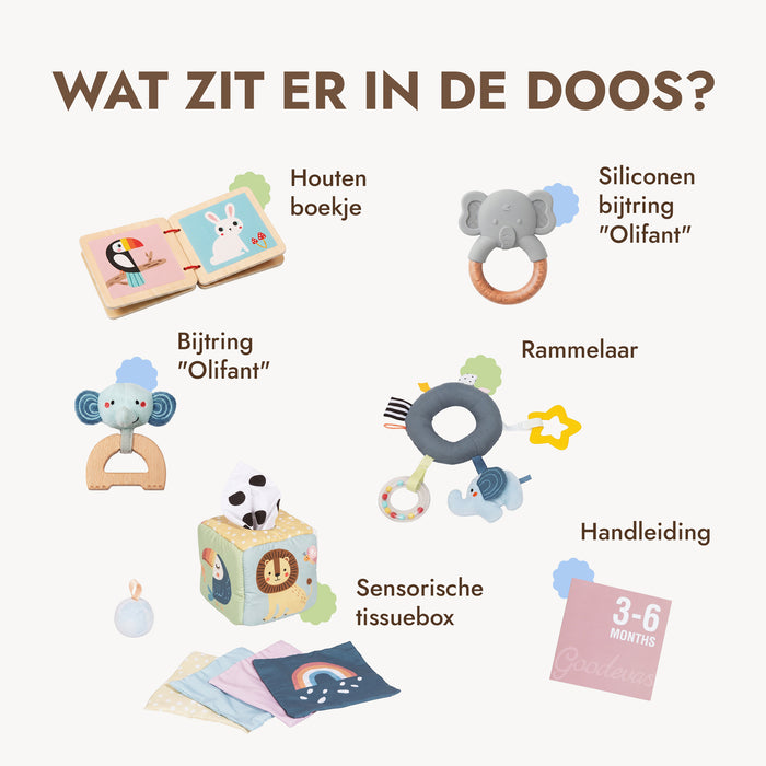 BabyBox — Speelpakketten voor het eerste jaar (0–12 maanden)
