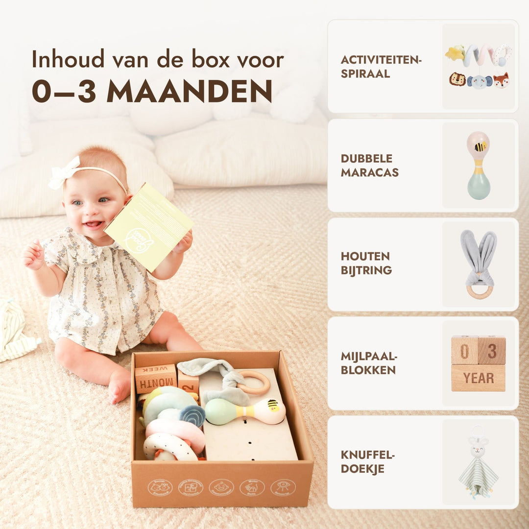BabyBox — Speelpakketten voor het eerste jaar (0–12 maanden) - Goodevas NL