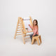 Kunsttoevoeging voor de Driehoek Ladder