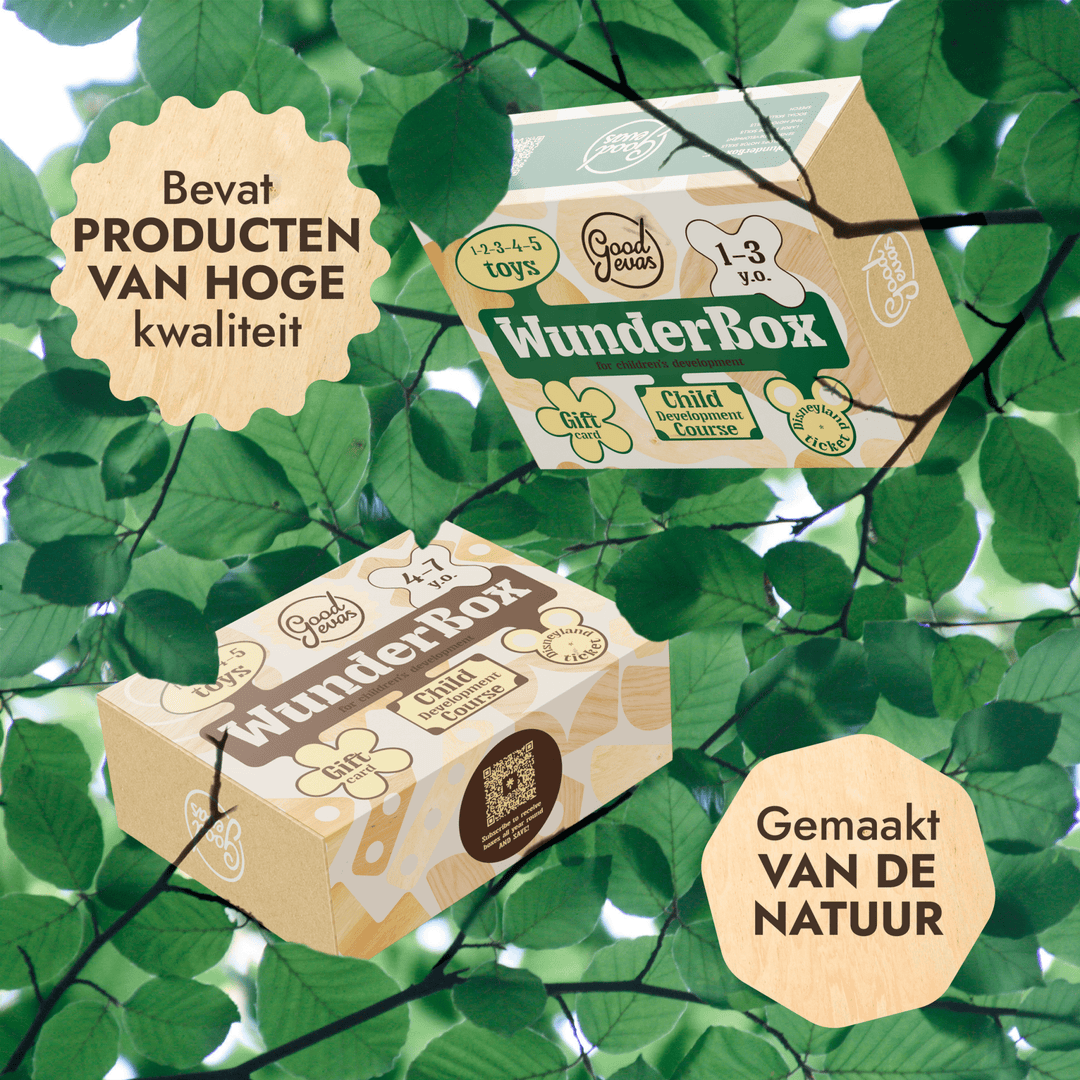 WunderBox 1–3 jaar – ontwikkelingsdoos voor peuters - Goodevas NL